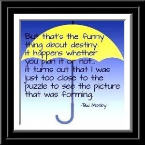 Ted Mosby, How I Met Your Mother. 