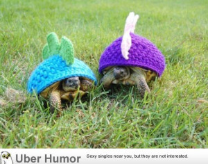 Guy knits turtle caps to make them look like dinosaurs.