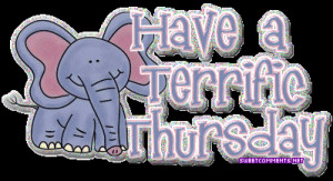 Terrific Elephant Tumblr gif