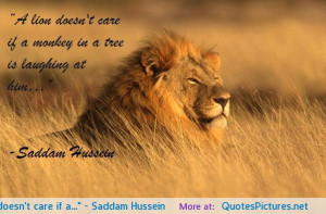 Lion Quotes Inspirational Saddam hussein motivational