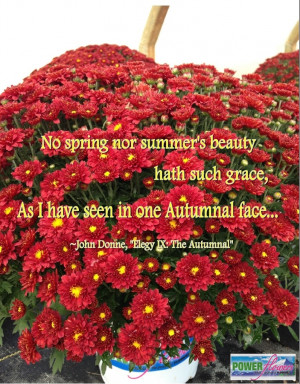 fall garden quotes sparkleicioushealthnut