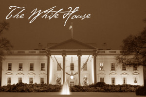 dividing decimals with whole numbers classroom activities