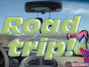 My friends and I decided to take a amazing road trip and wanted you to ...