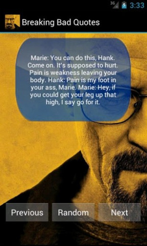 breaking bad quote