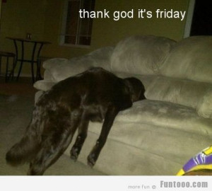 Tgif Quotes Lols Mania Funny Pictures Memes And Ics