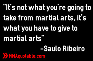 you re going to take from martial arts it s what you have to give to ...