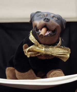 Triumph the Insult Dog has become something of an institution since ...