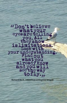 ... quotes book quotes words quotes bytt fly s richard bach inspiration