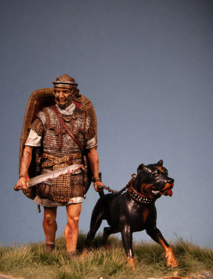 Roman War Dogs