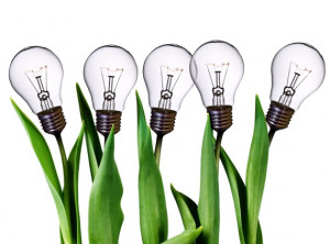 Five Light Bulb Tulips - Photo courtesy of ©iStockphoto.com/NREY ...