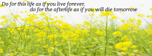 Life quote and nature timeline cover banner, Quotes timeline cover