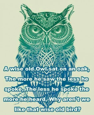 wise old owl...