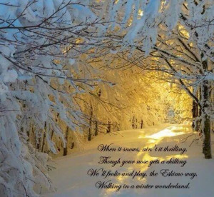 Winter Wonderland Quotes Tumblr ~ Walking In A Winter Wonderland ...