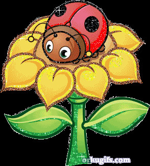 ladybug Graphics, commments, ecards and images (6 results)