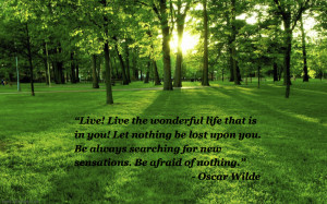 Leave a Reply Cancel reply