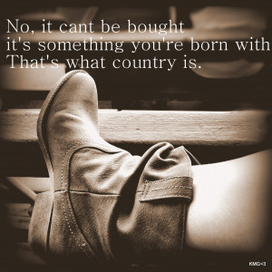 Country Song Lyric Quotes. QuotesGram