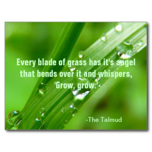Every Blade of Grass Quote Postcard