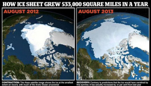 SideBear: Does this picture not settle the Global Warming argument?