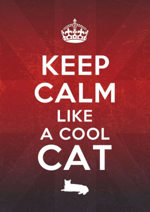 Keep Calm Like a Cool Cat. l #quotes