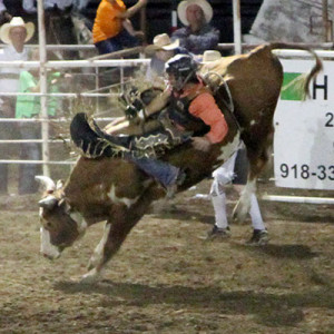 Auto Horse Racing Rodeo Bull Riding on Danz Family Rodeo Mutton Bustin
