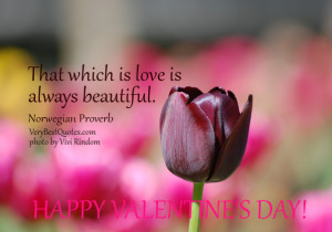 Inspirational Love Quote Picture for Valentine’s Day
