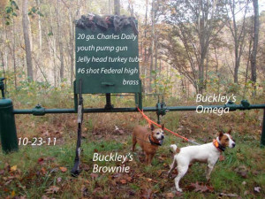 Name: Brownie-omega-tg-10-23-11.jpgViews: 1306Size: 64.4 KB