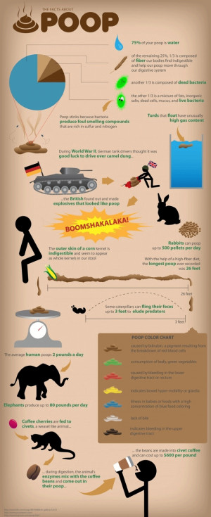 Facts about poop