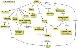 Figure 4. Completed (but not final) concept map about Birds.