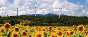 Renewable-Energy-Japan.jpg