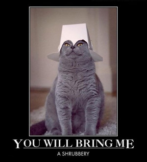 Funny Holy Grail Monty Python Cat Picture Meme Photo Image - You will ...