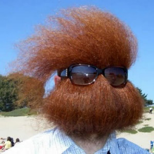 15 Most Weird Beards