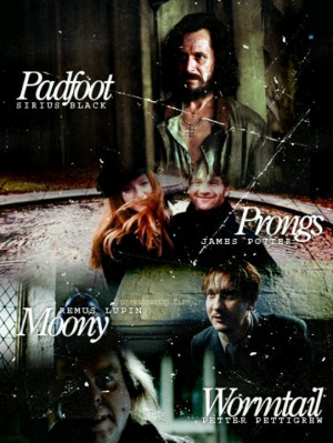 Padfoot, prongs, moony and wormtail