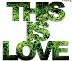 Quotes About Weed And Life