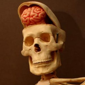 Alistair Macleod Pictures