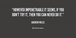 Andrew Wiles Quotes