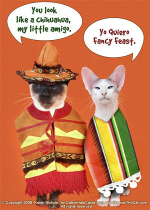 HAPPY CINCO DE MAYO EVERYBODY! AY - Yi Yi!