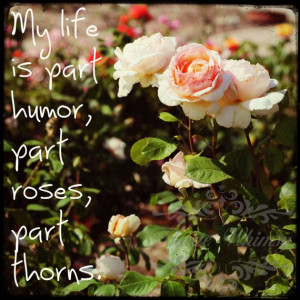 My life is part humor, part roses, part thorns.