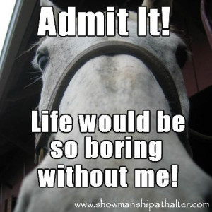 Horse Quotes :)