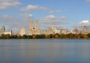 Funny Quotes Contact Dmca...