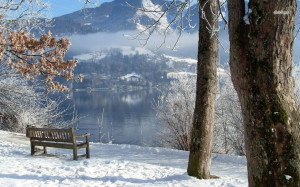 Bench by the lake in winter wallpaper