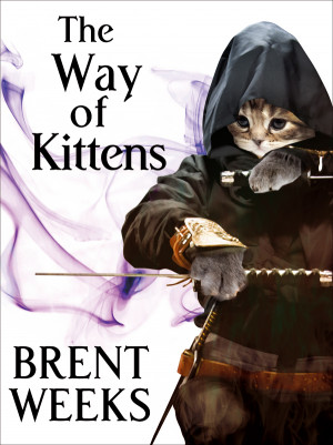 Brent Weeks Book Quotes