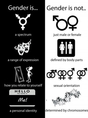 genderqueer educational poster