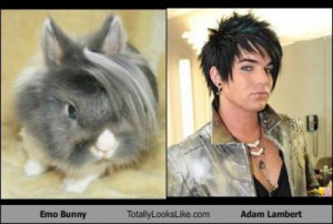 Funny Look Alikes (10 Pics)