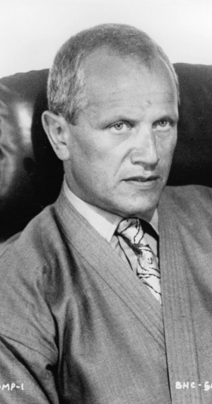 MV5BMzM3NjM1OTQ5M15BMl5BanBnXkFtZTcwNDA4ODgwMw@@._V1_SY1200_CR103,0 ...