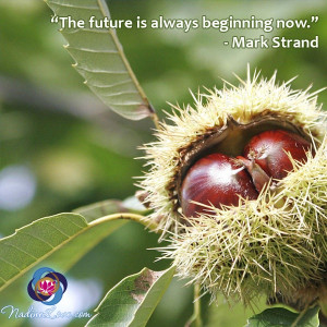 ... is always beginning now.” - Mark Strand quotes http://NadineLove.com