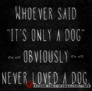 Pinned by Elizabeth J