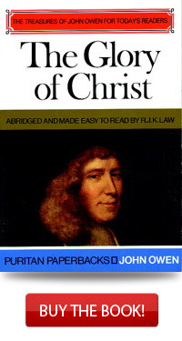 The Glory of Christ by John Owen