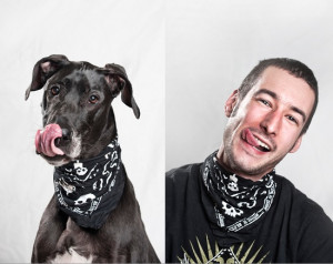 Dog Quotesas Dogs Would Say