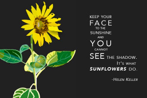 Sunflower with quote. Available in postcard to poster size prints.