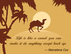 Life is like a camel: you can make it do anything except back up.